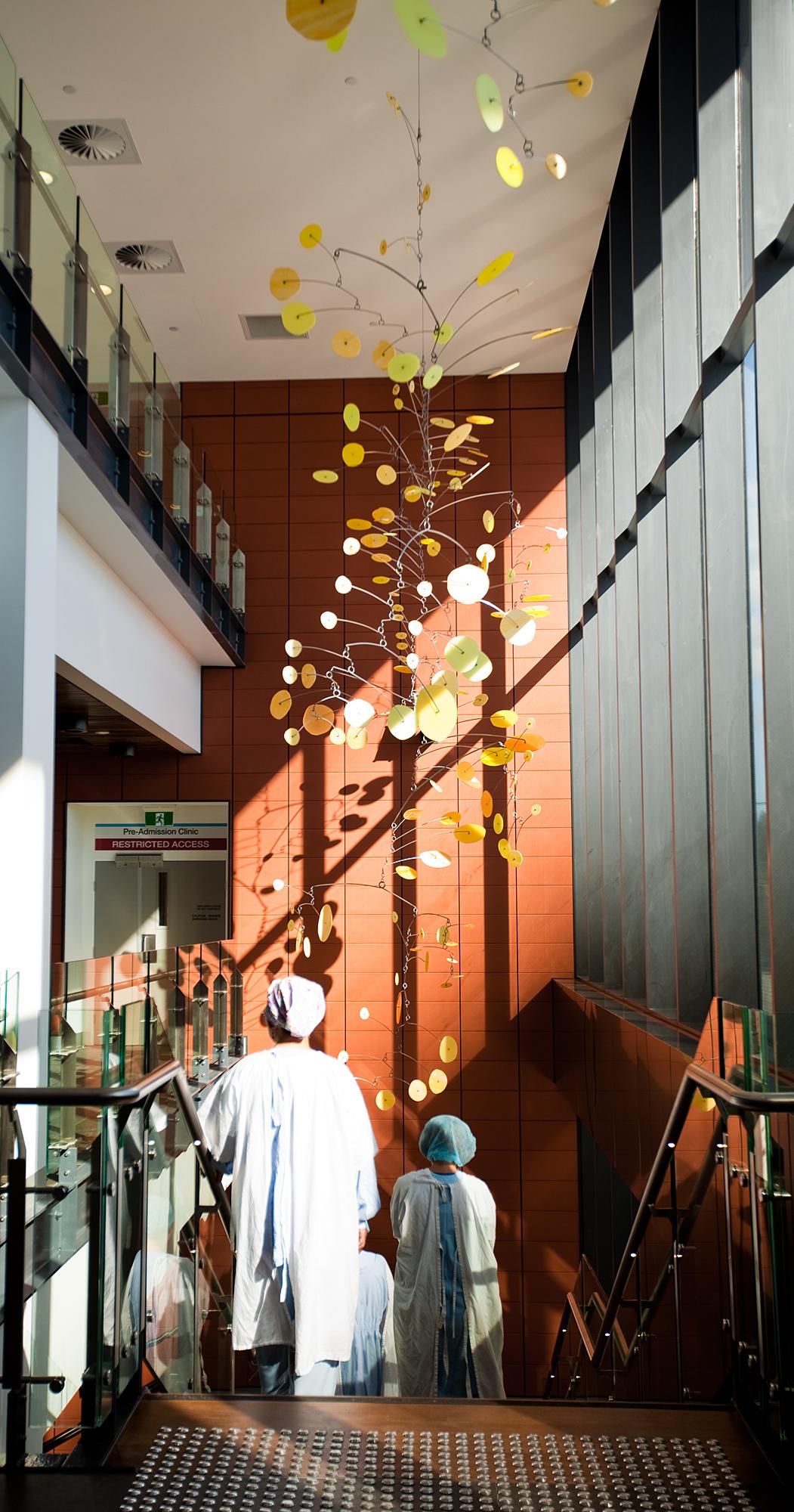 Wattle by Jade Oakley, Ku-Ring Gai Hospital Sydney