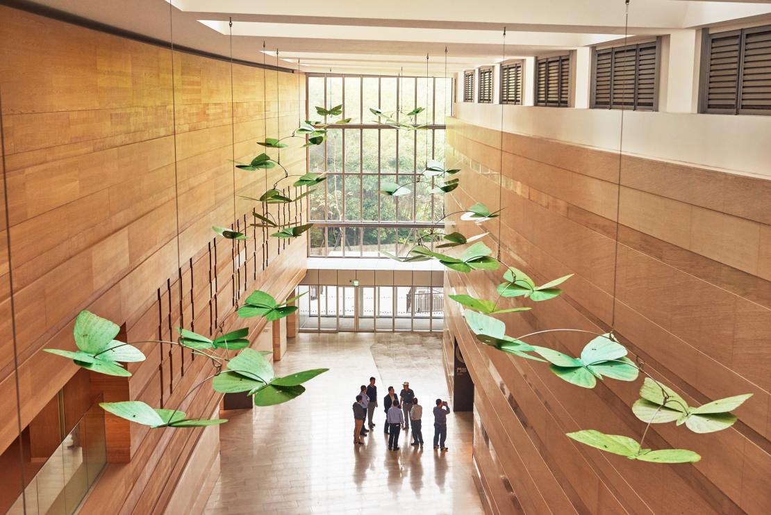 Kingdom of Butterflies by Jade Oakley, National Taiwan University Hospital